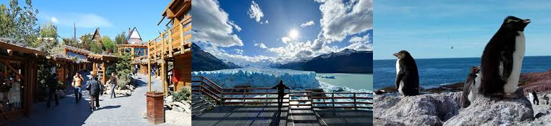 el-calafate-de-regalo